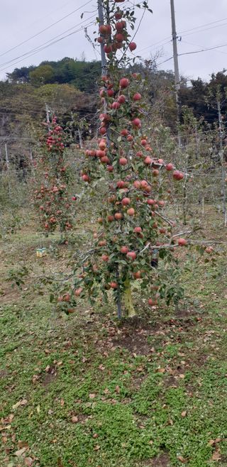조균원님의 자유주제 · 자유게시판 작성글 사진