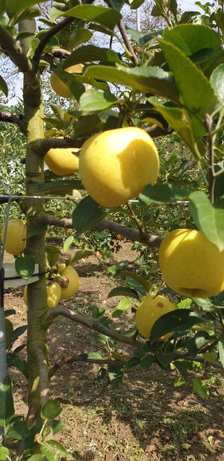 조균원님의 자유주제 · 자유게시판 작성글 사진