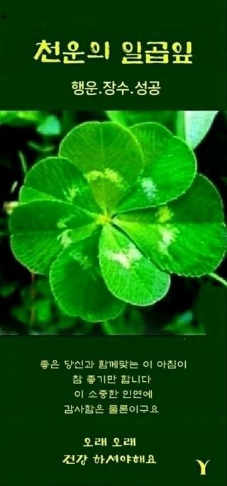 조균원님의 자유주제 · 자유게시판 작성글 사진