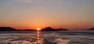 조균원님의 자유주제 · 자유게시판 작성글 사진