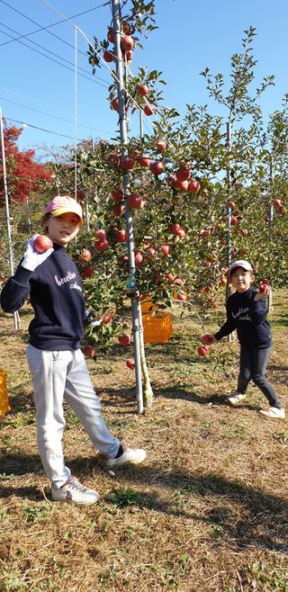 조균원님의 자유주제 · 자유게시판 작성글 사진