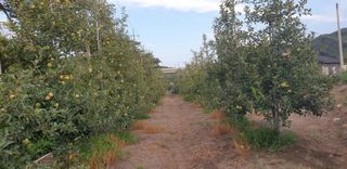 조균원님의 자유주제 · 자유게시판 작성글 사진