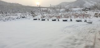 조균원님의 자유주제 · 자유게시판 작성글 사진