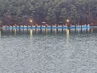 배추8281님의 자유주제 · 사진전 작성글 사진