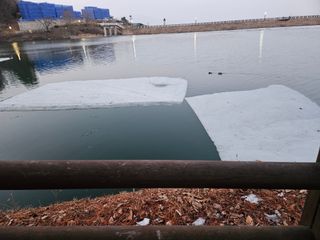 배추8281님의 자유주제 · 사진전 작성글 사진