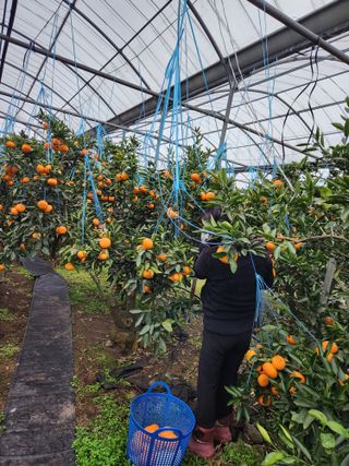 조상균님의 함께 일하는 동료는 몇명인가요? · 참여글 작성글 사진