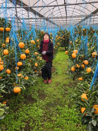 조상균님의 함께 일하는 동료는 몇명인가요? · 참여글 작성글 사진