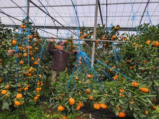 조상균님의 함께 일하는 동료는 몇명인가요? · 참여글 작성글 사진