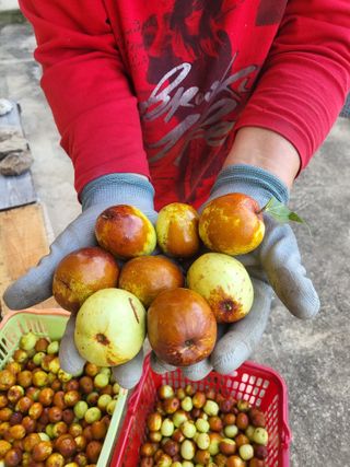 화천힐링님의 함께 일하는 동료는 몇명인가요? · 참여글 작성글 사진