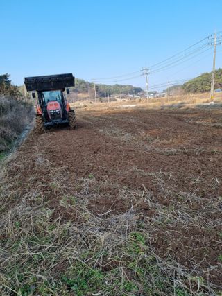 배추님의 함께 일하는 동료는 몇명인가요? · 참여글 작성글 사진