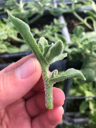 권혁태 님의 함께 일하는 동료는 몇명인가요? · 참여글 작성글 사진