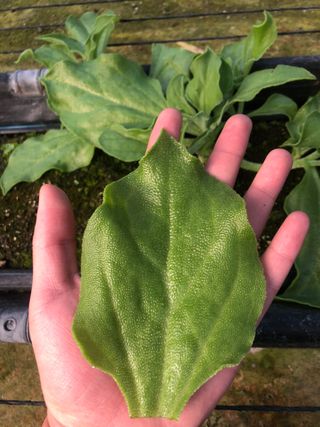 권혁태 님의 함께 일하는 동료는 몇명인가요? · 참여글 작성글 사진