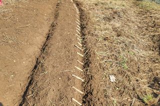 들꽃농장님의 자유주제 · 자유게시판 작성글 사진