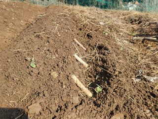 들꽃농장님의 자유주제 · 자유게시판 작성글 사진