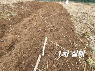 들꽃농장님의 자유주제 · 자유게시판 작성글 사진