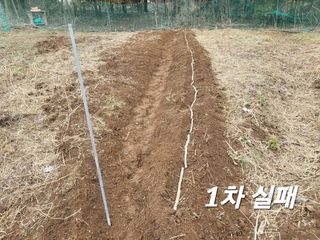 들꽃농장님의 자유주제 · 자유게시판 작성글 사진