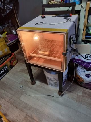 풍요님의 사과 · 일상 작성글 사진