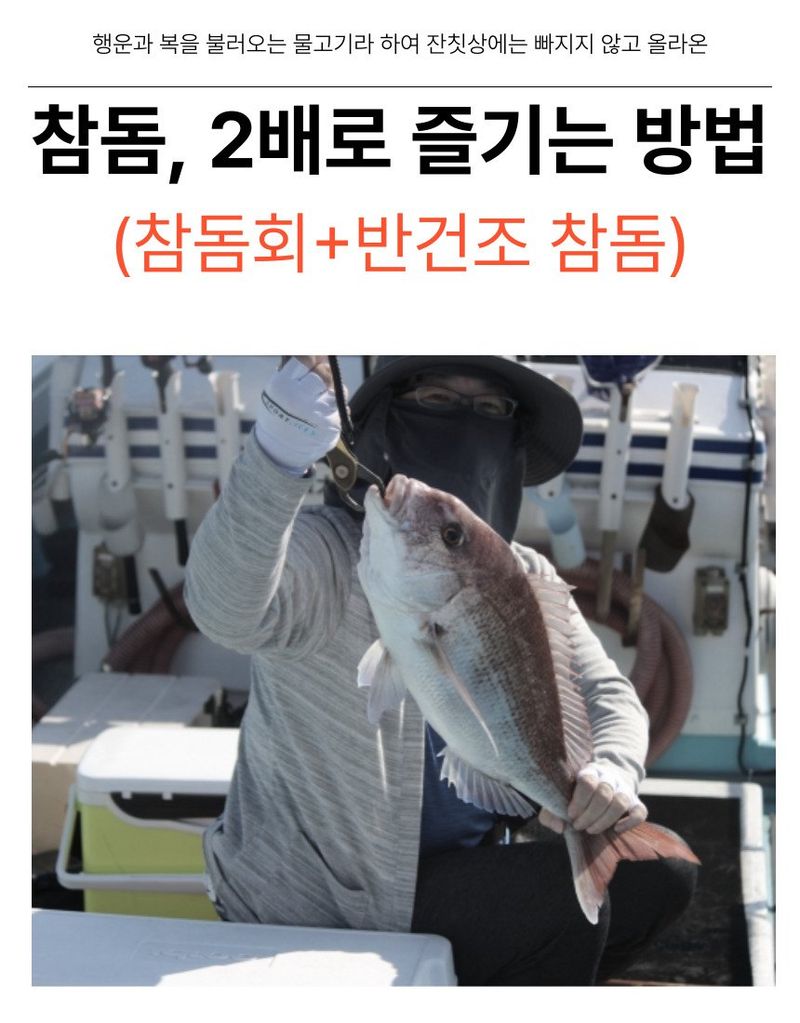 김진국님의 장터 판매 상품 [국내자연산 참돔 2배로 즐기는 방법(참돔회 1마리+ 반건조 참돔1마리)_ 5만원 이상 구매시 토복령 200g 증정] 첨부 사진