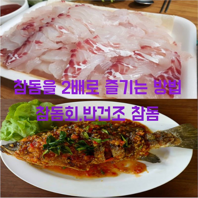 장터 상품 [국내자연산 참돔 2배로 즐기는 방법(참돔회 1마리+ 반건조 참돔1마리)_ 5만원 이상 구매시 토복령 200g 증정] 썸네일