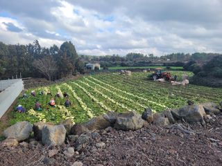 문광석님의 함께 일하는 동료는 몇명인가요? · 참여글 작성글 사진