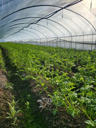 방춘관님의 함께 일하는 동료는 몇명인가요? · 참여글 작성글 사진