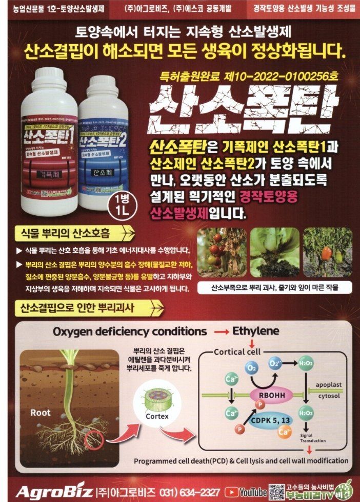 대산농사대장님의 장터 판매 상품 [산소폭탄세트 기폭제 전착제무료] 첨부 사진