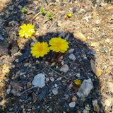 팜모닝 자유주제·자유게시판 게시글 이미지