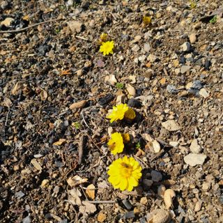 knlee님의 자유주제 · 자유게시판 작성글 사진