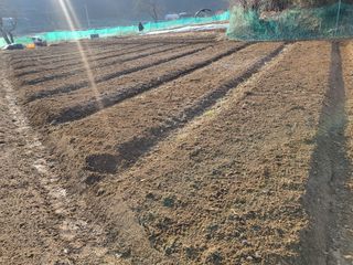 들꽃농장님의 자유주제 · 자유게시판 작성글 사진