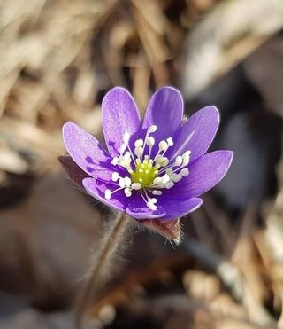 들꽃농장님의 자유주제 · 자유게시판 작성글 사진