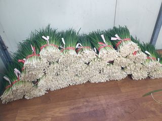 희야 네 레디향님의 함께 일하는 동료는 몇명인가요? · 참여글 작성글 사진