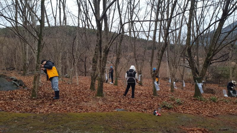 장터 상품 [지리산 산청 고로쇠 18kg[품절]] 썸네일