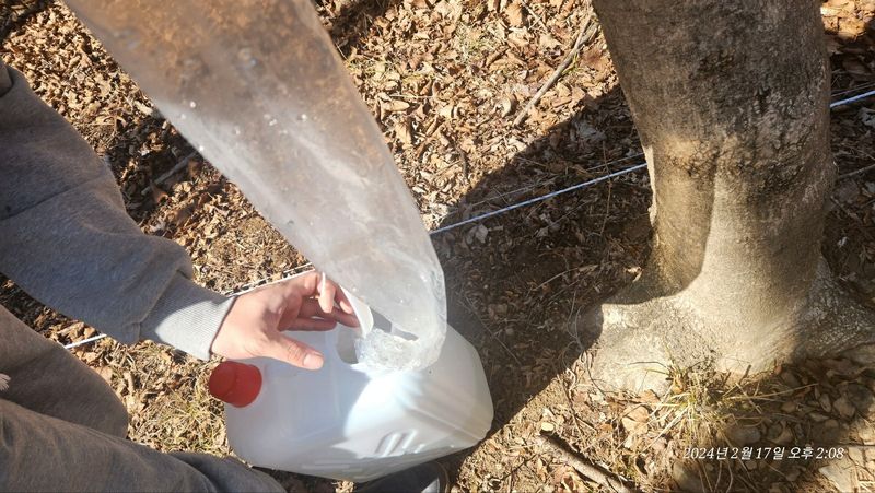 농부아내님의 장터 판매 상품 [지리산 산청 고로쇠 18kg[품절]] 첨부 사진