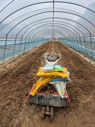 착한농부 안병하님의 고추 · 일상 작성글 사진