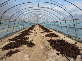 착한농부 안병하님의 고추 · 일상 작성글 사진