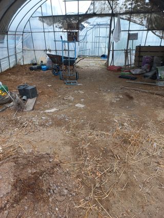 농민님의 자유주제 · 자유게시판 작성글 사진