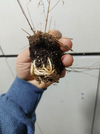 정권옥님의 기타작물 · 자유게시판 작성글 사진