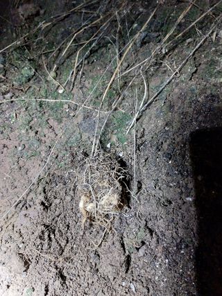 정권옥님의 기타작물 · 자유게시판 작성글 사진