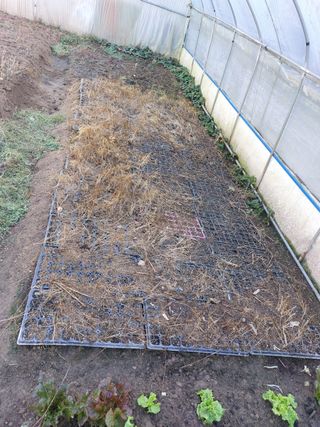 정권옥님의 기타작물 · 자유게시판 작성글 사진