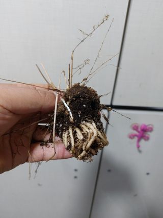 정권옥님의 기타작물 · 자유게시판 작성글 사진