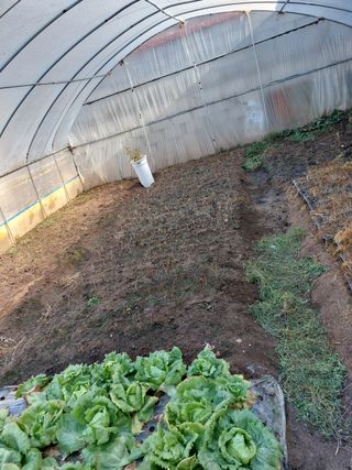 정권옥님의 기타작물 · 자유게시판 작성글 사진