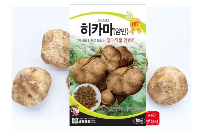 장터 상품 [히카마50립(멕시코감자)] 썸네일