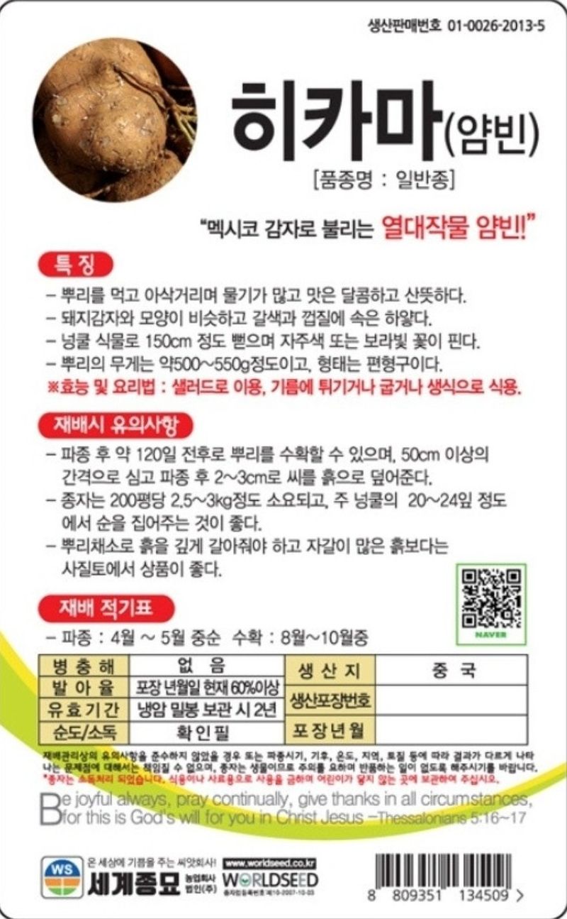 대산농사대장님의 장터 판매 상품 [히카마50립(멕시코감자)] 첨부 사진