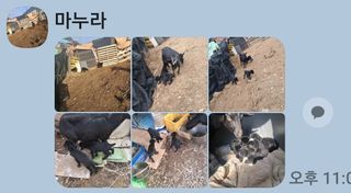 김용갑님의 자유주제 · 칭찬해요 작성글 사진