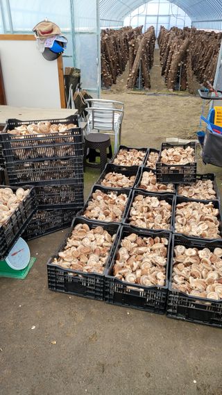 인더숲 님의 함께 일하는 동료는 몇명인가요? · 참여글 작성글 사진