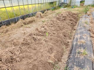 이창신님의 기타작물 · 자유게시판 작성글 사진