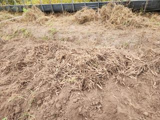 이창신님의 기타작물 · 자유게시판 작성글 사진