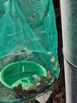 영숙님의 자유주제 · 자유게시판 작성글 사진