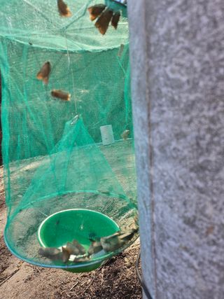 영숙님의 자유주제 · 자유게시판 작성글 사진