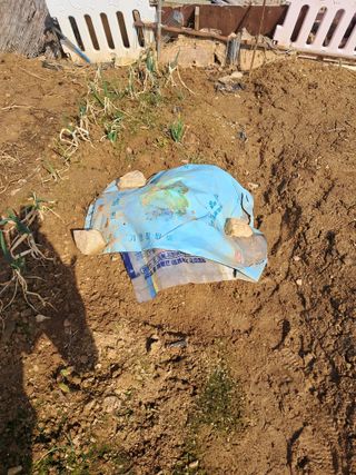 문현자 님의 농사, 무엇이든 물어보세요! · 참여글 작성글 사진